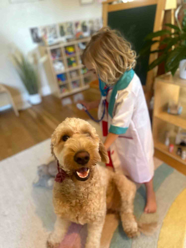 Photo of Sol Y Luna Daycare - San Jose, CA