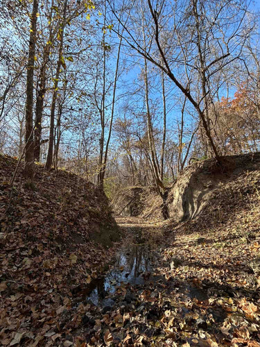 Photo of Menagerie Child Care - Leavenworth, KS