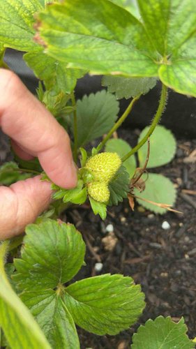 Photo of Rios Daycare - Omaha, NE