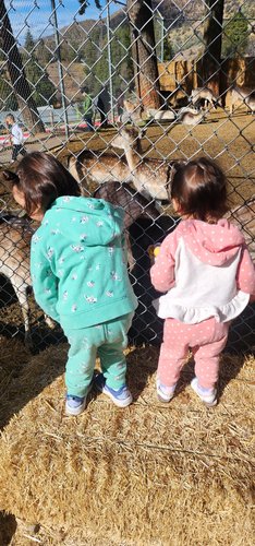 Photo of Maez Family Child Care - Redlands, CA