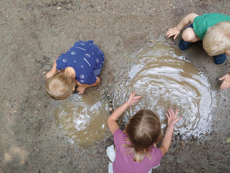 Photo of Wald Sprouts Daycare - Bloomington, MN