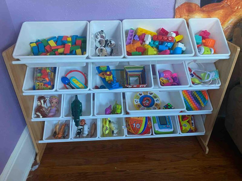 Photo of Little Ray Of Light ( Rayito De Luz ) - Syracuse, NY