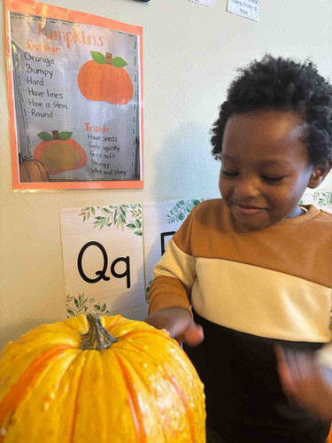 Photo of The Learning Treehouse Llc Daycare - New Brunswick, NJ