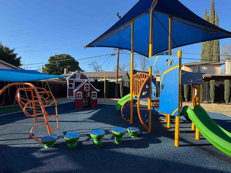 Photo of Life's Little Joy