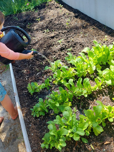 Photo of Bonita Child Daycare - Chula Vista, CA