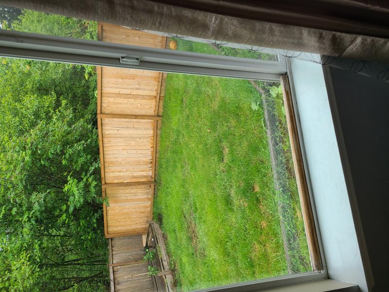 Photo of Sunshine Home Daycare - Federal way, WA