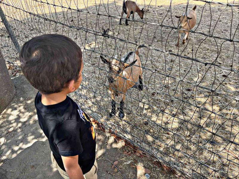 Photo of Tillett Family Child Care - Hemet, CA