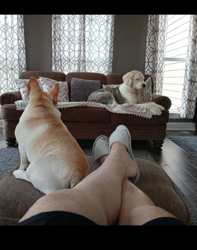 Photo of Kimberly K. - St. Charles, MO