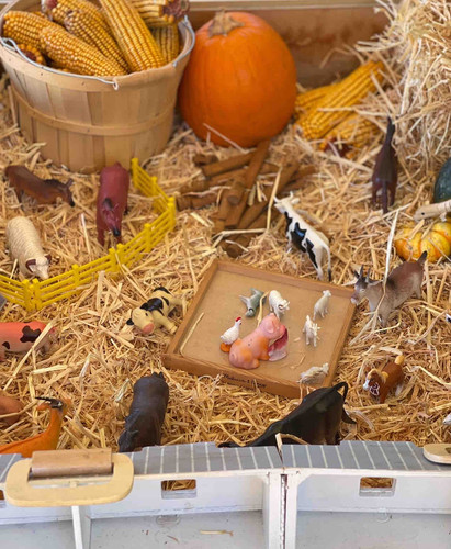 Photo of Judith Family Daycare - San Jose, CA