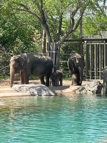 Photo of Samantha R. - Fort Worth, TX