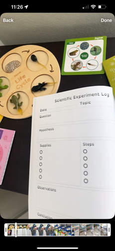 Photo of Footprints Arise - Puyallup, WA