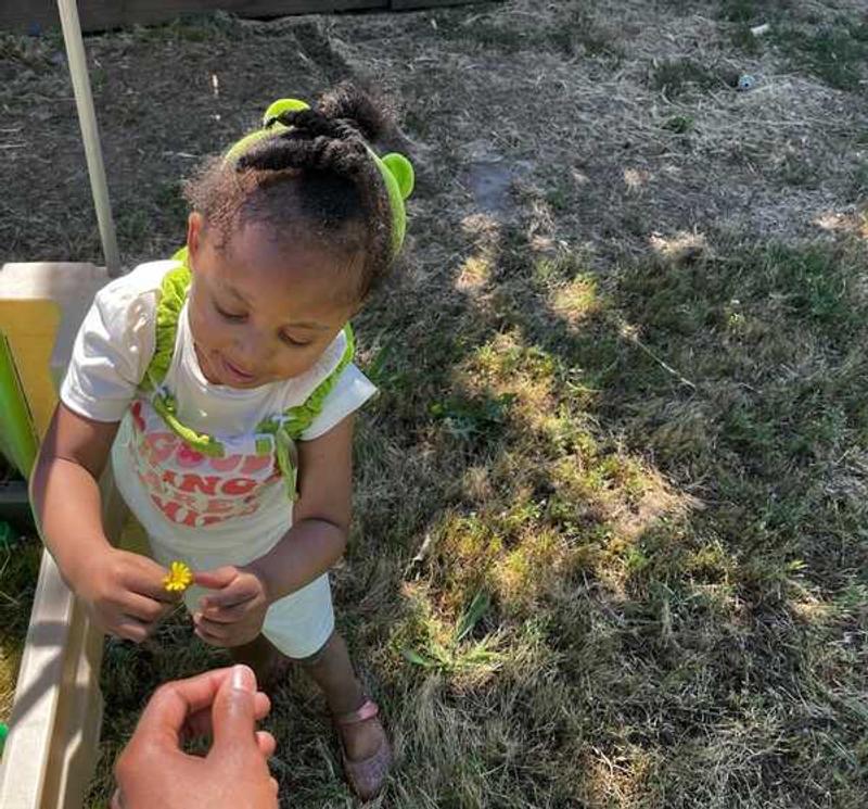 Photo of Dream Stars Childcare & Preschool Daycare - Carmichael, CA