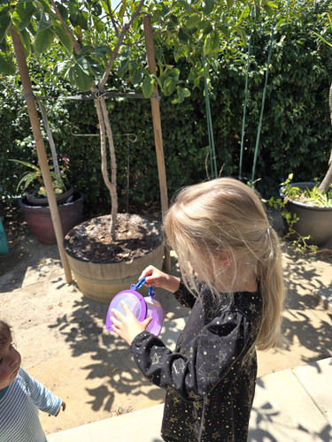 Photo of Sauceda, Maria Family Child Care - Vista, CA