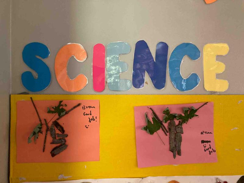 Photo of Little Angels Home Daycare - Homewood, IL