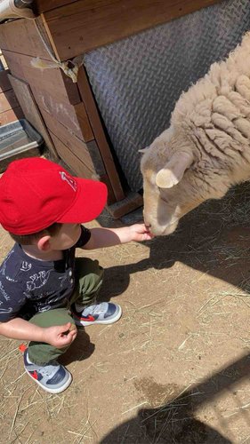 Photo of Sandyland Kids Daycare - Corona, CA