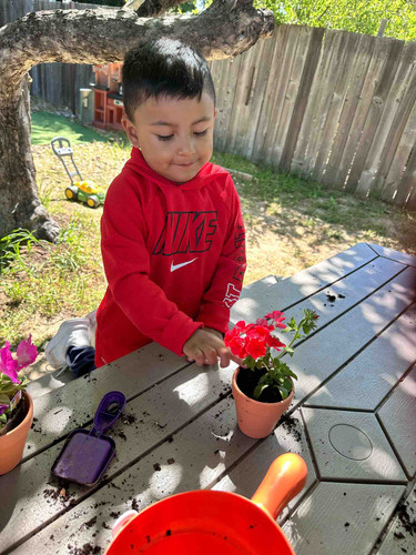 Photo of Marin Daycare - Novato, CA