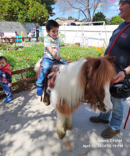 Photo of Melkonyan Family Child Care Daycare - Winnetka, CA