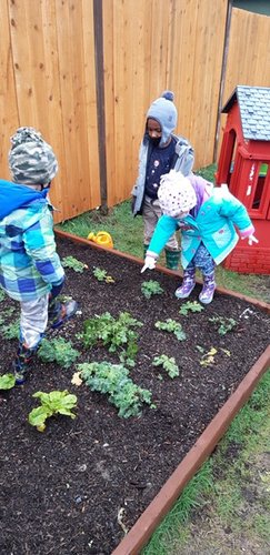 Photo of Cherish Academy - Federal Way, WA