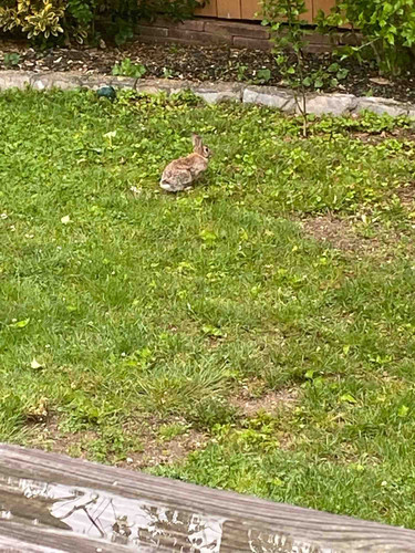 Photo of RiteCare Multisensory Daycare - Deer Park, NY