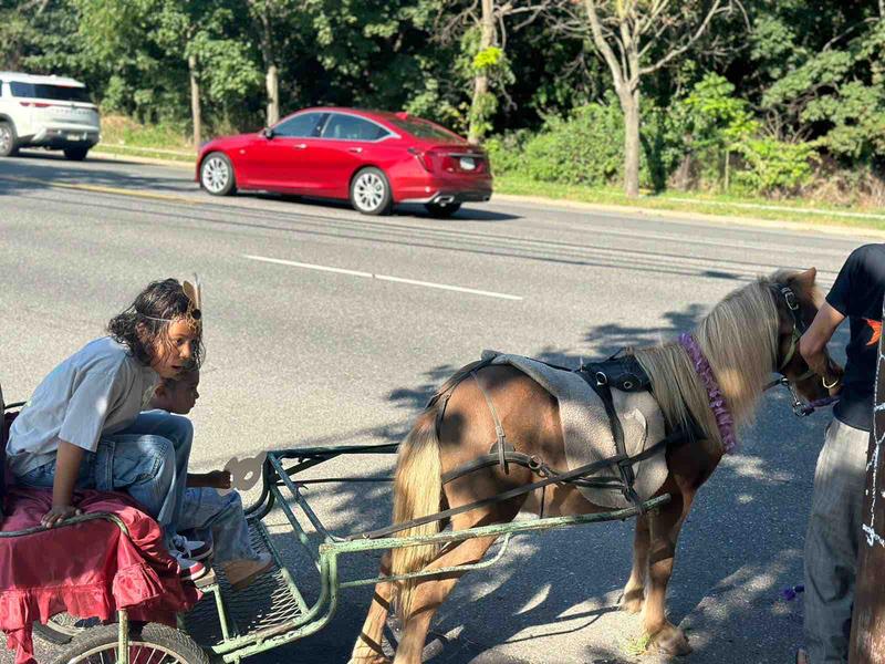 Photo of Little Friends House - Lynbrook, NY
