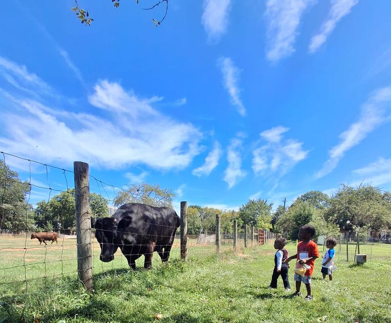Photo of Blessed Hands Changing Lives Daycare - Queens, NY