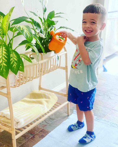 Photo of Tree House Child Care Daycare - Glendale, CA