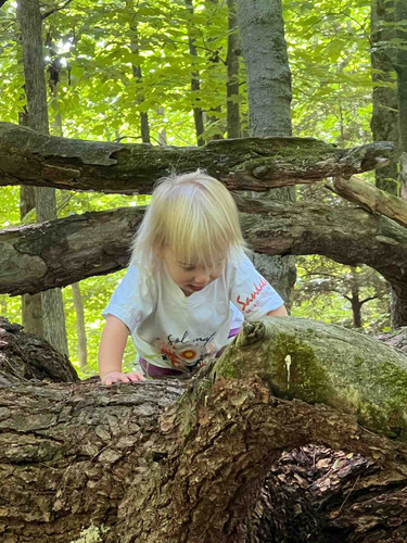 Photo of Lil’ Rascals VT - Georgia, VT