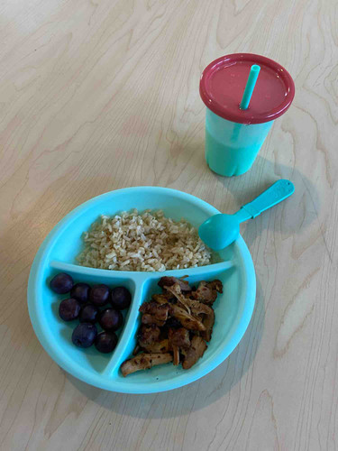 Photo of Lily Pad Childcare Daycare - Albany, NY