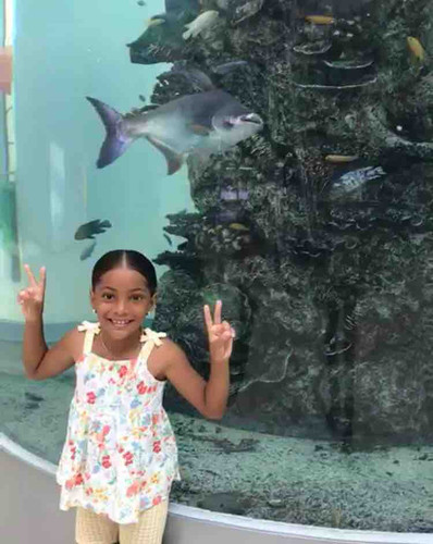 Photo of Abejitas Sweet Dreams Daycare - New York, NY