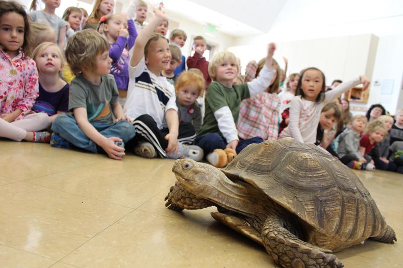 Photo of Little Miners Montessori - Park City, UT