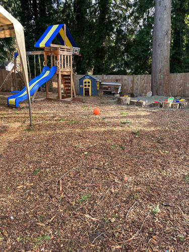 Photo of Planting Seeds With Love Spanish Academy - Bellevue, WA