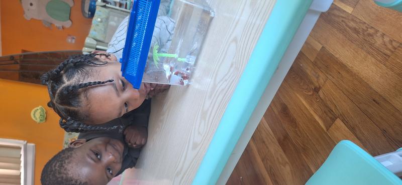 Photo of Blessed Hands Changing Lives Daycare - Queens, NY