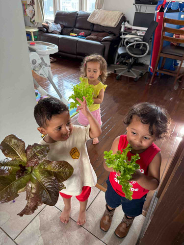 Photo of Tia Sil’s Day Care Daycare - Worcester, MA