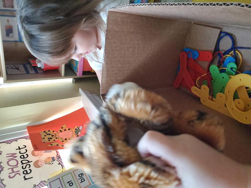 Photo of Aracelis 'House Childcare Daycare - Cypress, TX