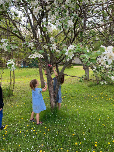 Photo of Growing Wild Daycare - Tenstrike, MN