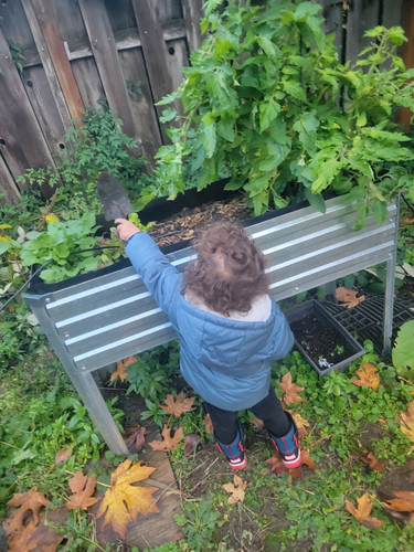 Photo of Liceo Infantil, LLC. - Portland, OR