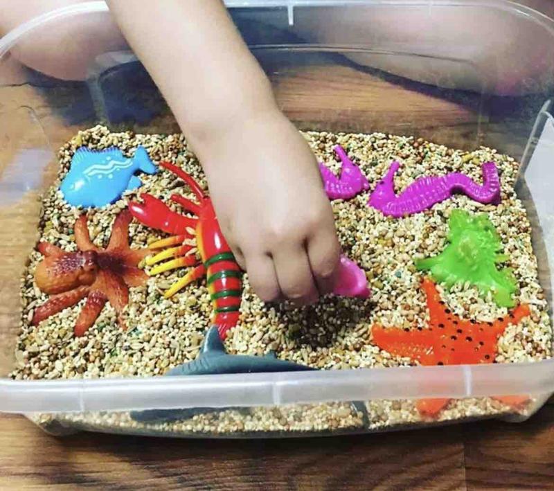 Photo of Amy’s Family Childcare - Methuen, MA