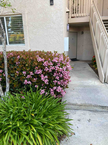 Photo of Forest Blossom Montessori Childcare - Lake Forest, CA