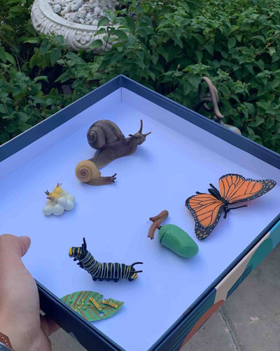 Photo of Happy Orchard Daycare - Irvine, CA