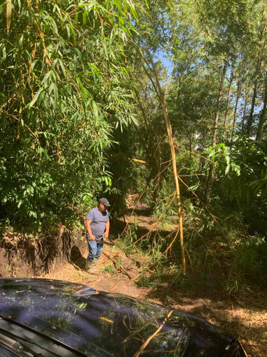 Photo of Genesis Preschool - Renton, WA