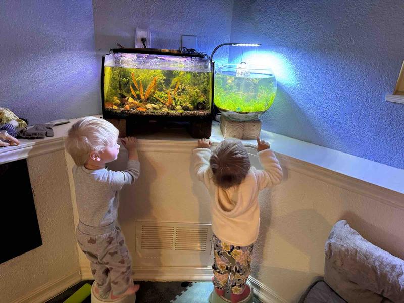 Photo of Little Wiggles Daycare - Elizabeth, CO