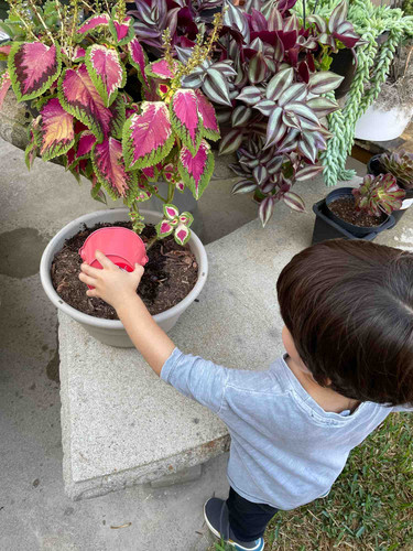 Photo of Happy Play Home Daycare - Irvine, CA