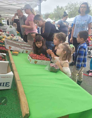 Photo of Keystone Montessori Preschool - Whittier, CA
