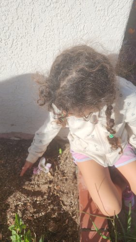 Photo of Mervat Albatra Family Childcare Daycare - El Cajon, CA