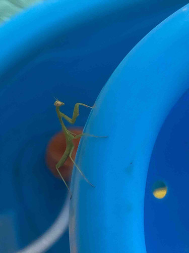 Photo of Mahalo Family Childcare - Riverside, CA