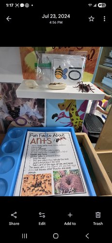 Photo of ABC Family Child Care - Worcester, MA