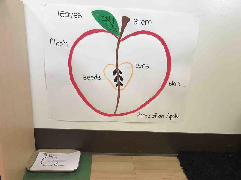 Photo of Montessori Kids Daycare - Irvine, CA