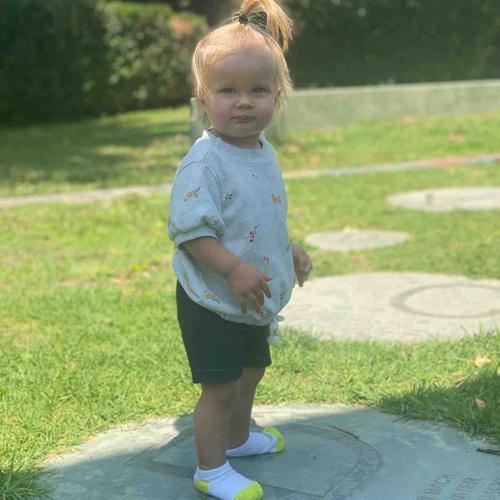 Photo of Tree House Child Care Daycare - Glendale, CA