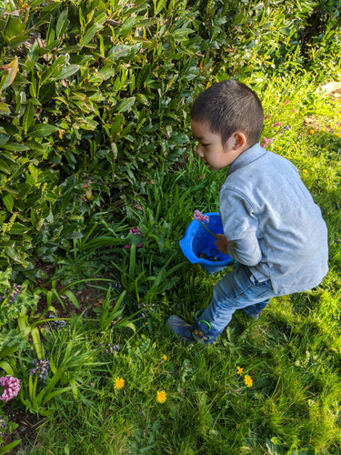 Photo of Tiny Miracles Preschool Daycare - Renton, WA