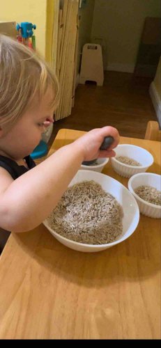 Photo of Kingdom Kiddos Child Care LLC - Brooklyn, NY